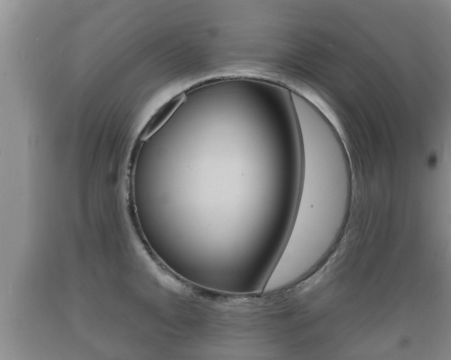 X0000089761093200706210948