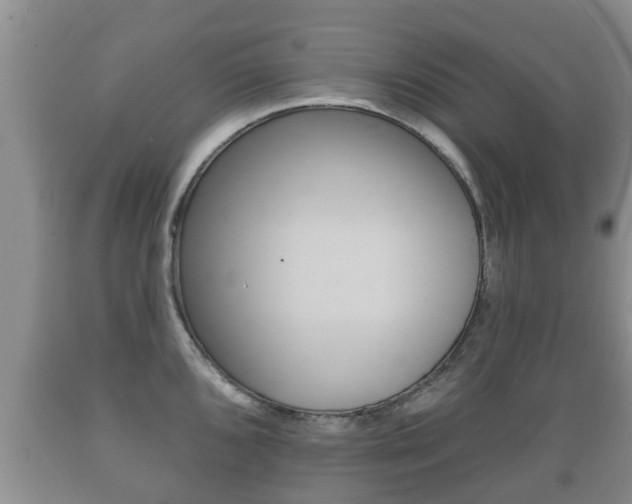 X0000089761096200706210948