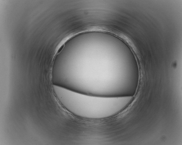 X0000089761097200706210948