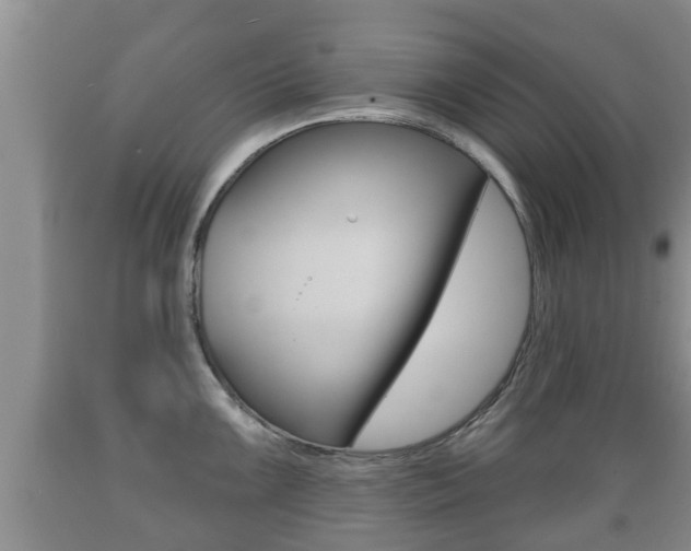 X0000089761099200706210948