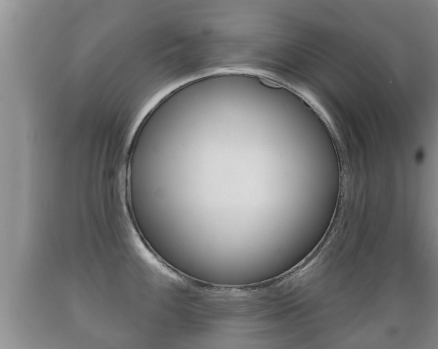 X0000089761100200706210948