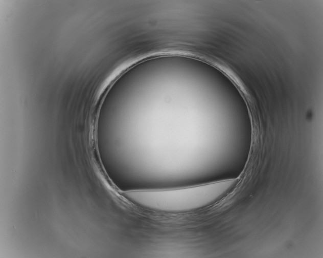 X0000089761101200706210948