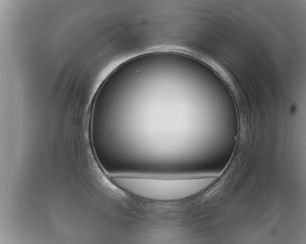 X0000089761102200706210948