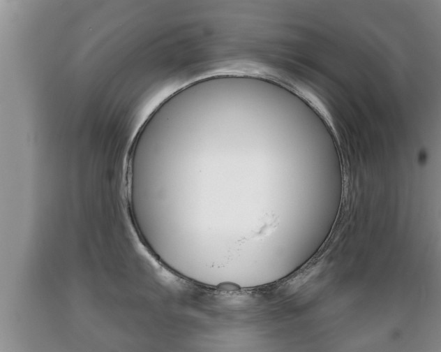 X0000089761103200706210948