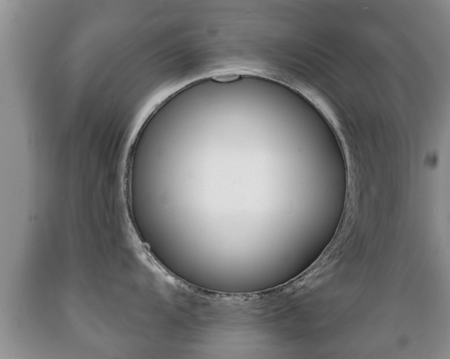 X0000089761104200706210948