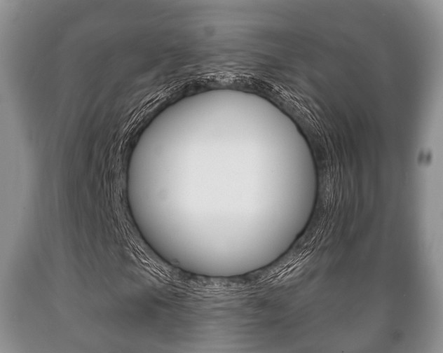 X0000089761105200706210947