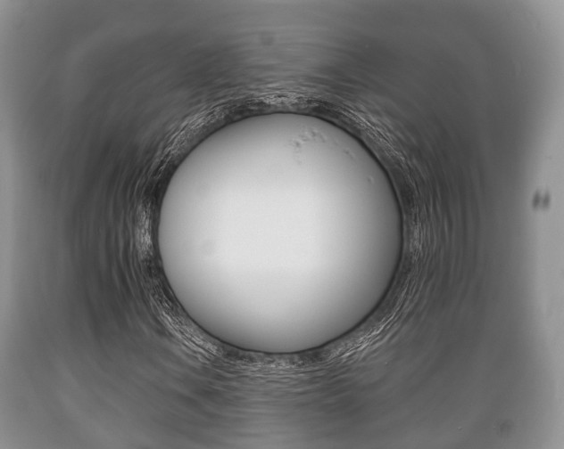 X0000089761106200706210947