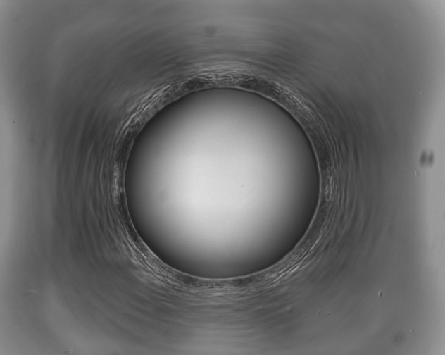 X0000089761108200706210948