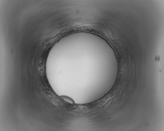 X0000089761109200706210948