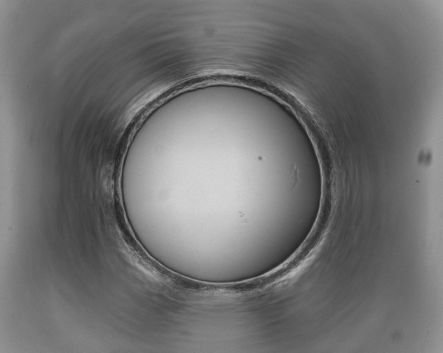 X0000089761113200706210948