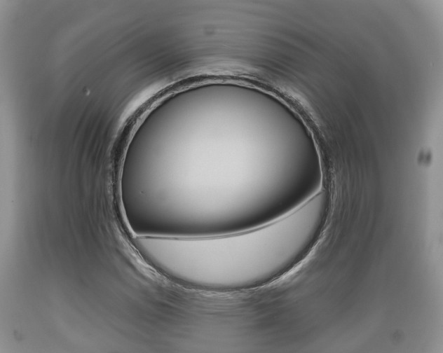 X0000089761114200706210948