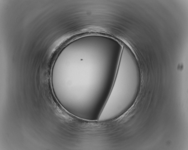 X0000089761115200706210948