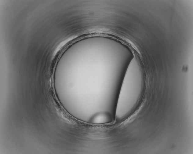 X0000089761117200706210948