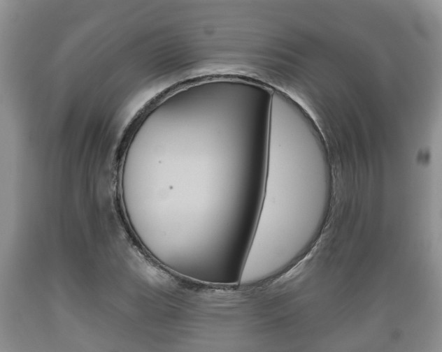 X0000089761119200706210948