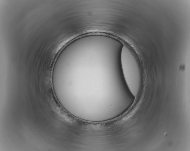 X0000089761121200706210948