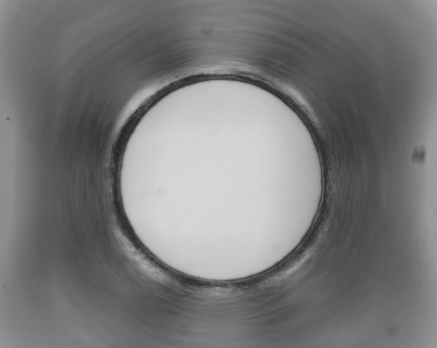 X0000089761122200706210948