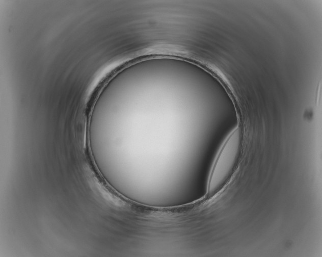 X0000089761123200706210948