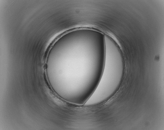 X0000089761124200706210948