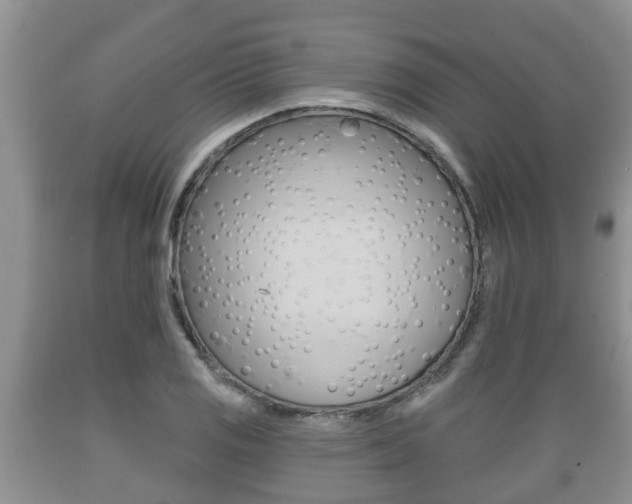 X0000089761125200706210948
