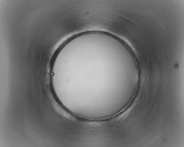 X0000089761126200706210948
