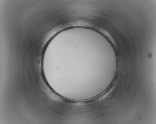 X0000089761130200706210948