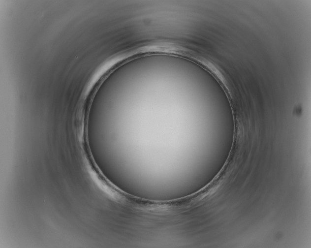 X0000089761131200706210948