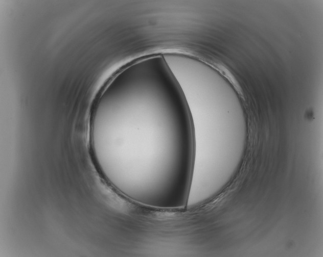 X0000089761132200706210948