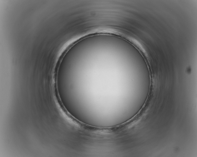 X0000089761133200706210948