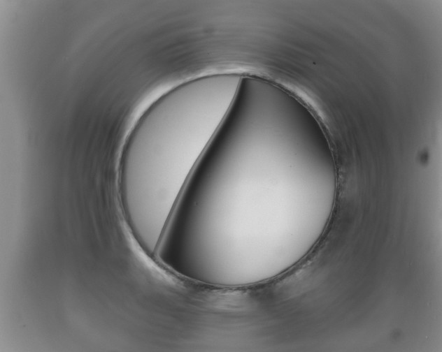 X0000089761135200706210948