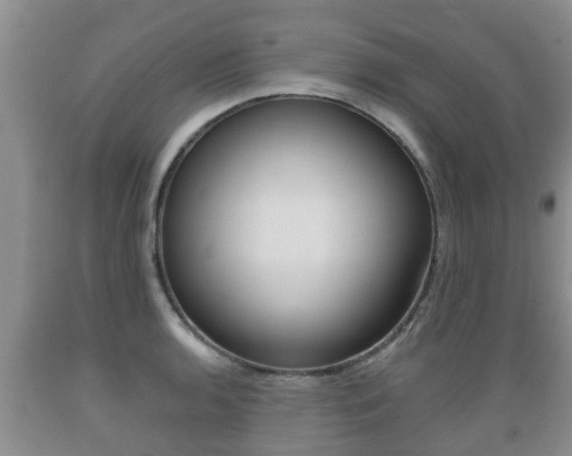 X0000089761136200706210948