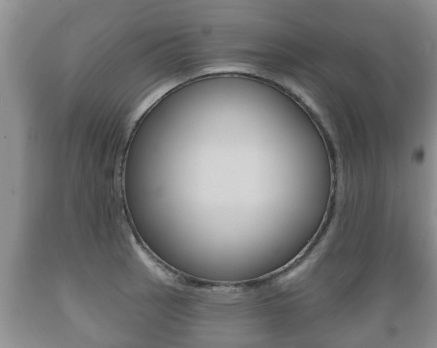 X0000089761137200706210948