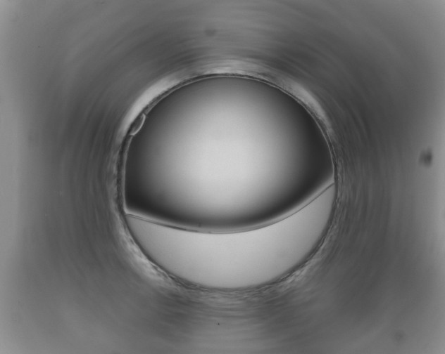 X0000089761138200706210948