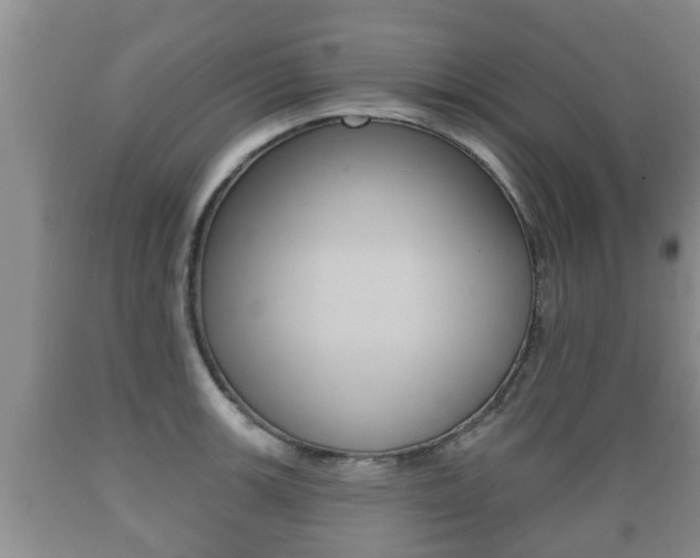 X0000089761139200706210948