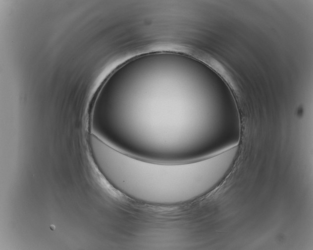 X0000089761140200706210948