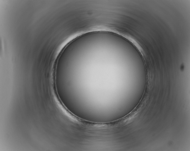 X0000089761142200706210948
