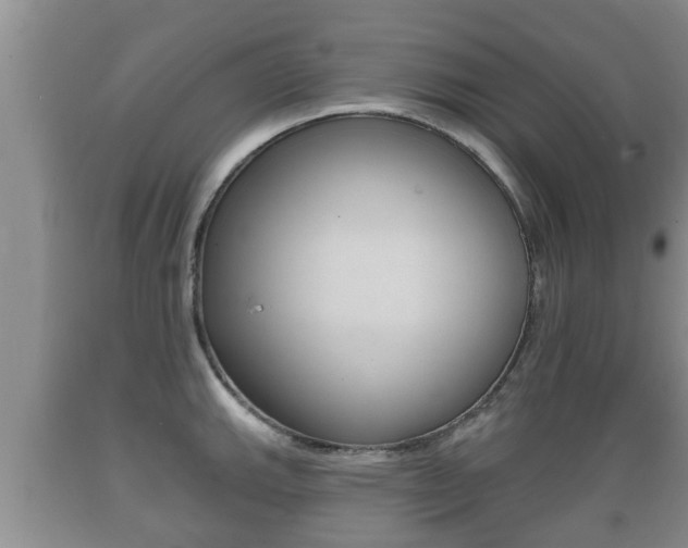 X0000089761143200706210948