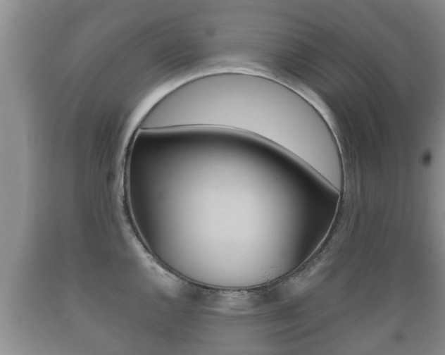 X0000089761144200706210948