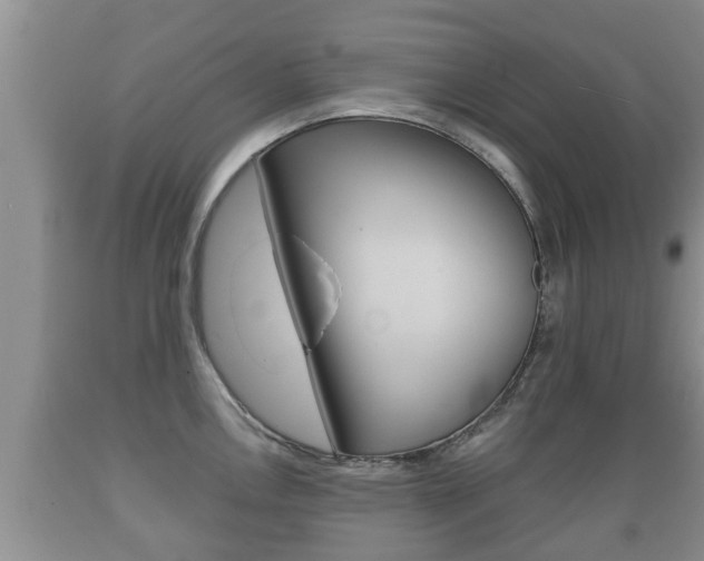 X0000089761146200706210948