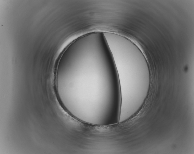 X0000089761147200706210948