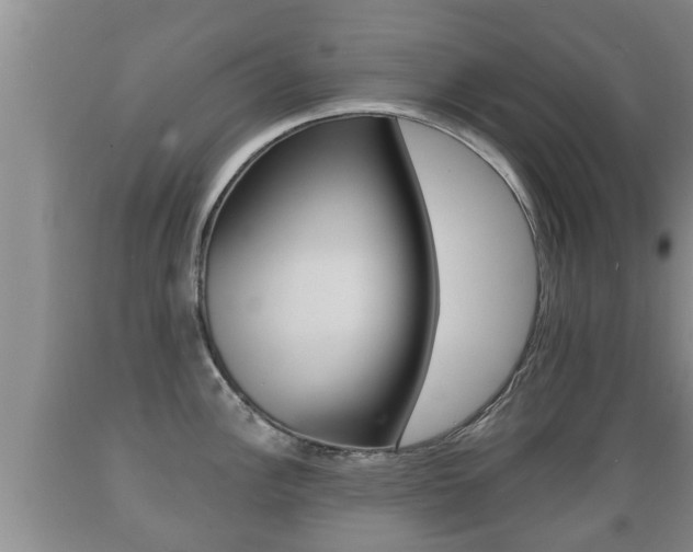 X0000089761148200706210948