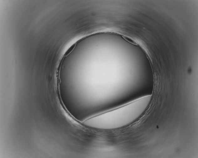 X0000089761151200706210948
