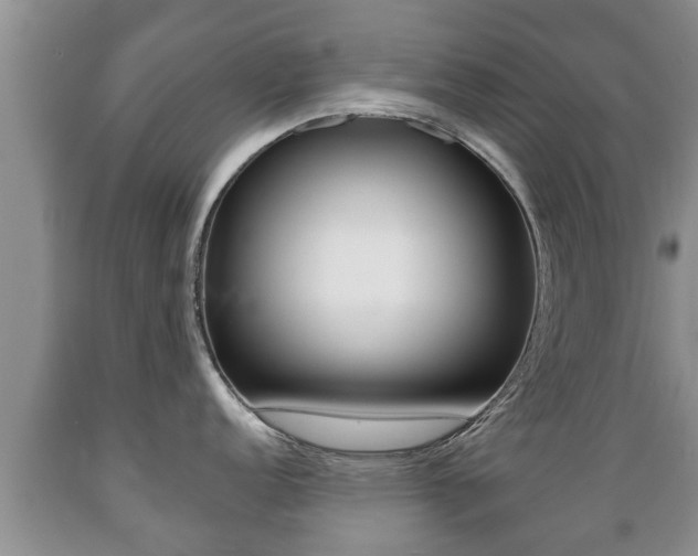 X0000089761152200706210948