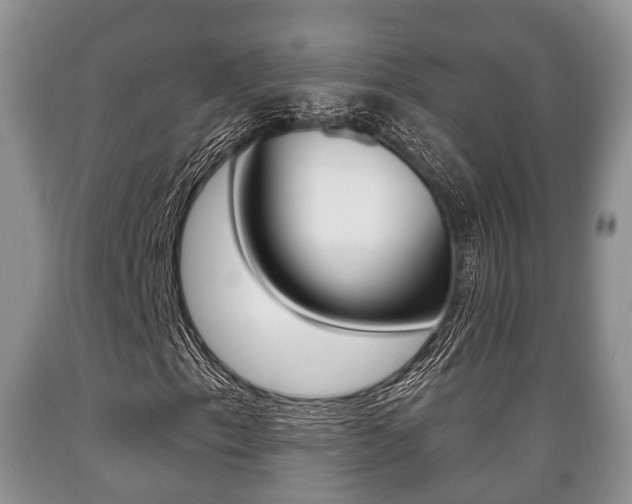 X0000089761153200706210947