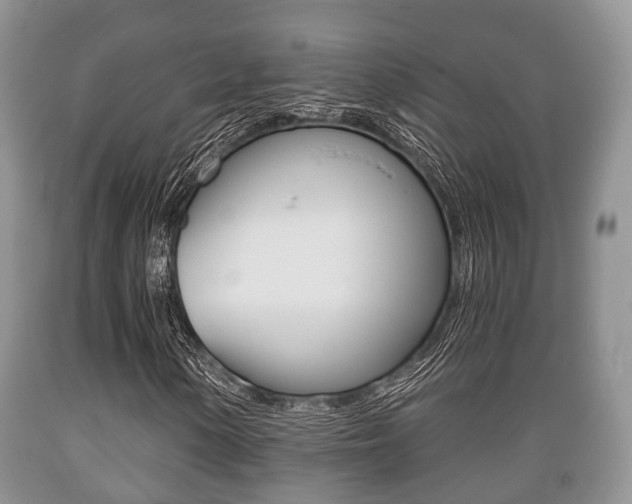 X0000089761154200706210947