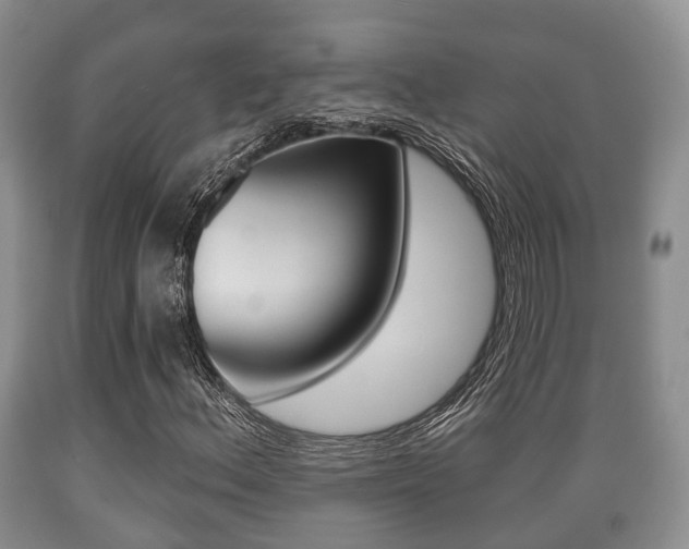 X0000089761156200706210947