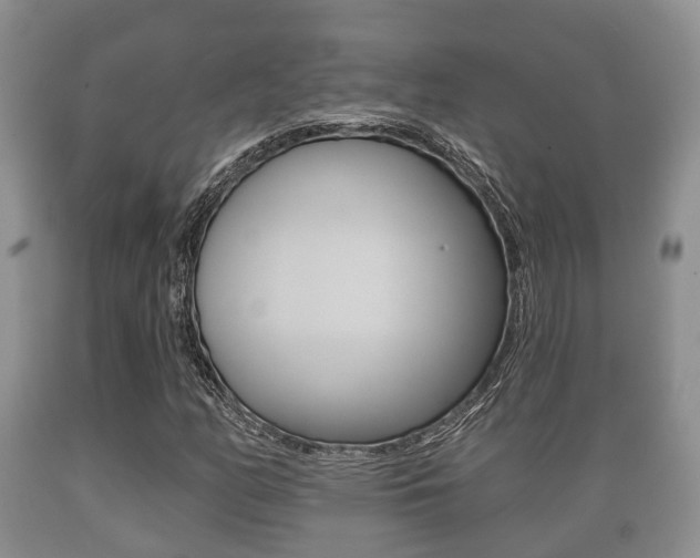 X0000089761158200706210947