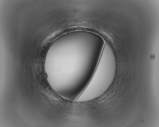 X0000089761159200706210947