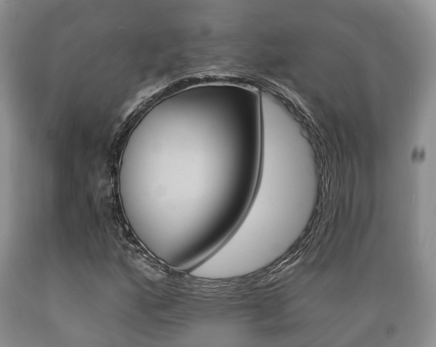 X0000089761160200706210947