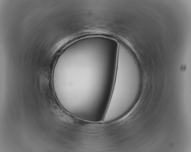 X0000089761163200706210947