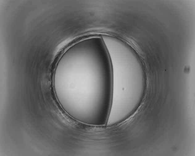 X0000089761164200706210947